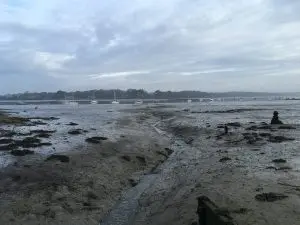 chichester harbour