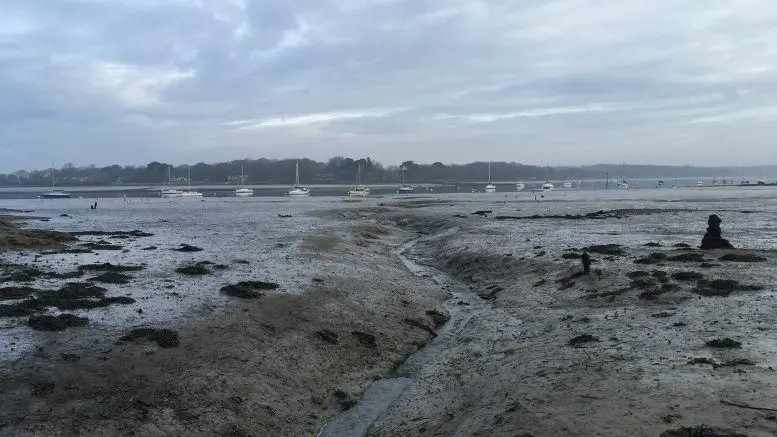 chichester harbour