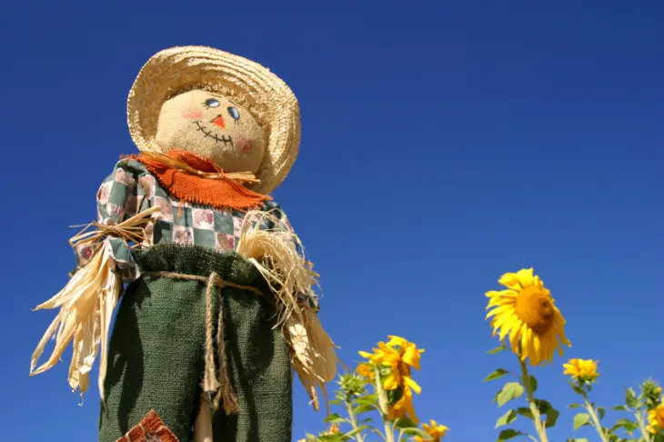 scarecrow