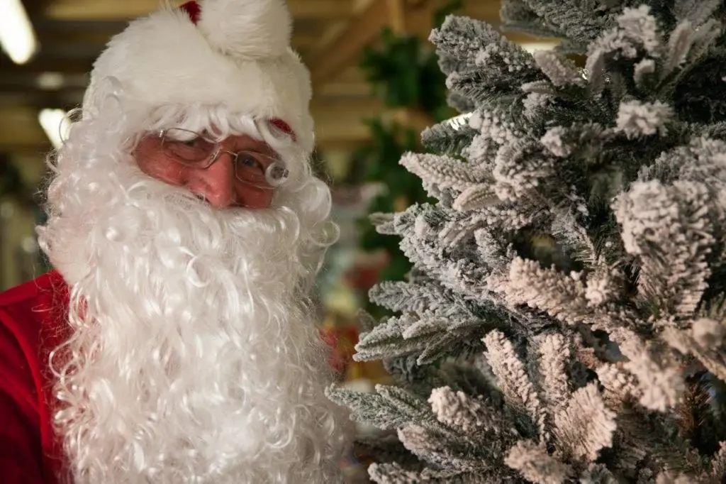 Santa Russells