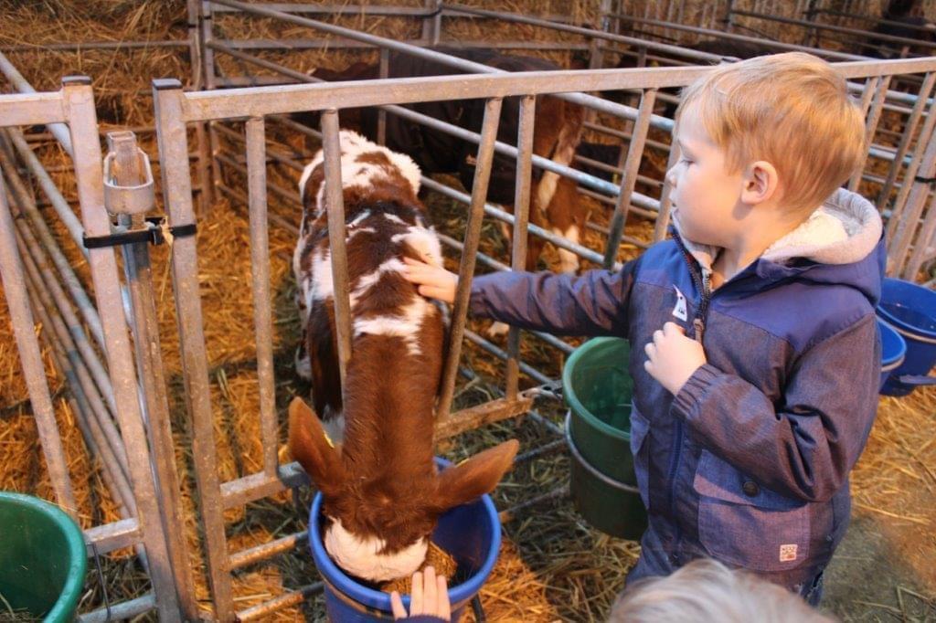 Brinsbury Farm