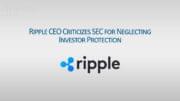 Ripple CEO Criticizes SEC for Neglecting Investor Protection