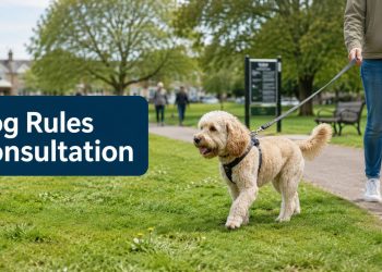 Chichester residents asked for views on dog control rules