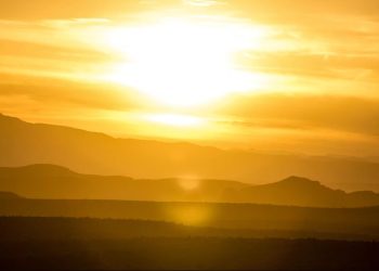 How the Latest Heatwave Impacts the South East & Chichester