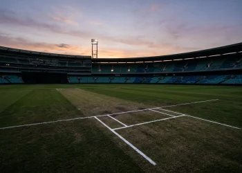 A conceptual view of a cricket pitch at sunset.