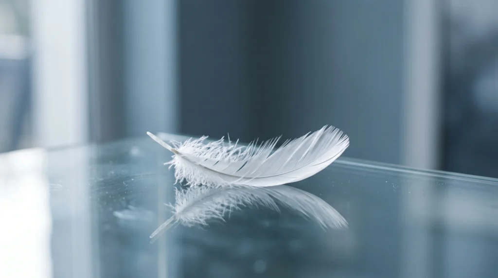 A single white feather on a reflective surface.