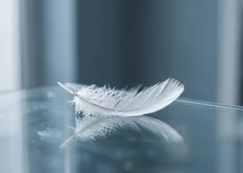 A single white feather on a reflective surface.