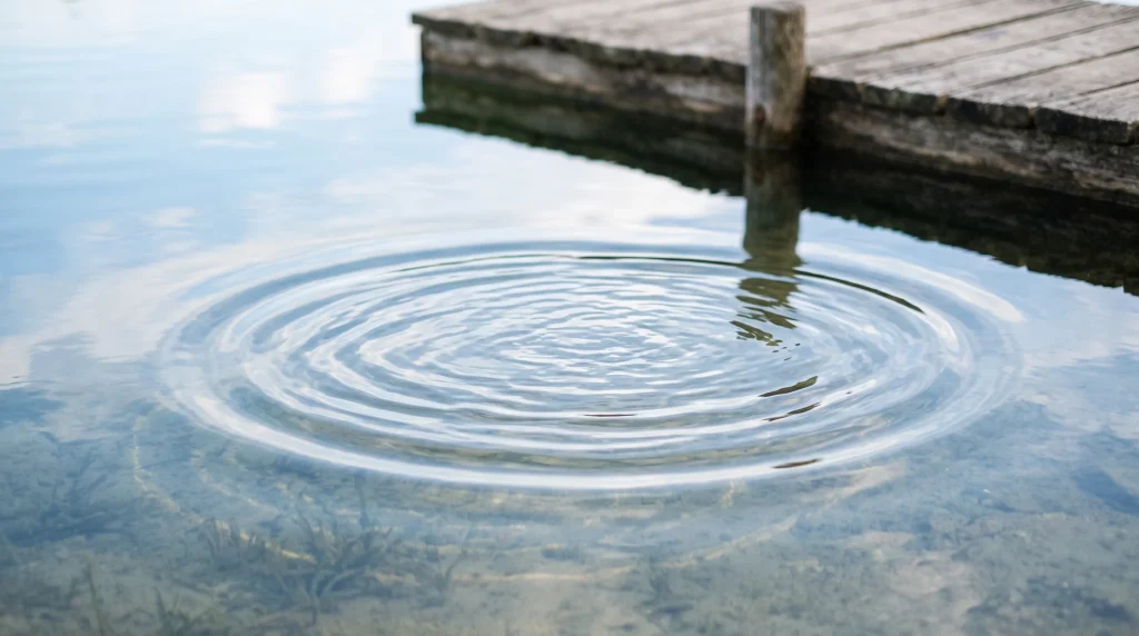 A close up of water ripples in a still pond.