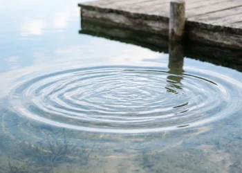 A close up of water ripples in a still pond.